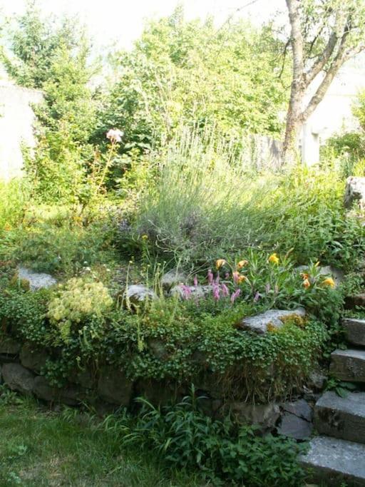 Magnifique Maison De Maitre Du 18E Avec Jardin Luz-Saint-Sauveur Exterior photo